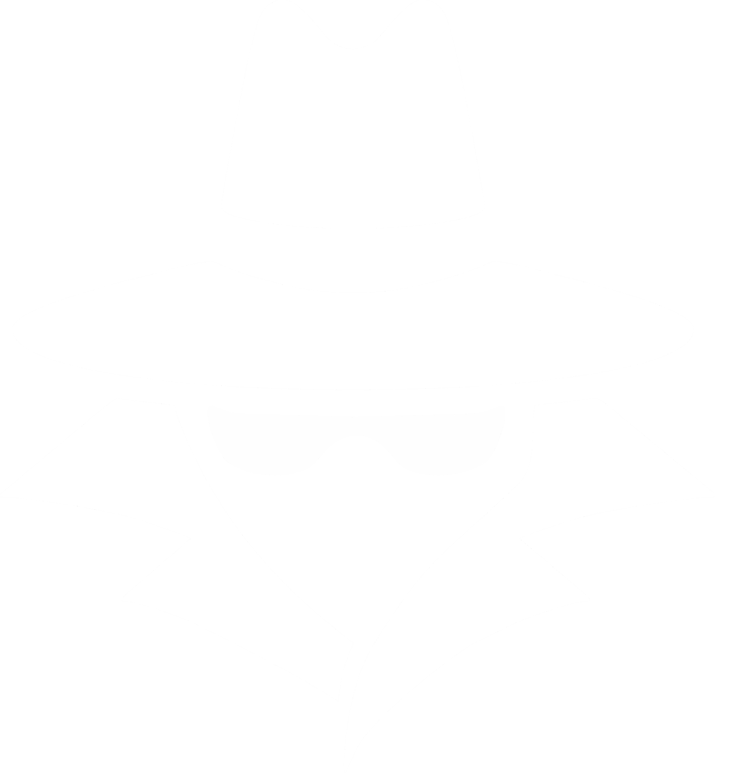 Beyaz Şapkalı Hacker